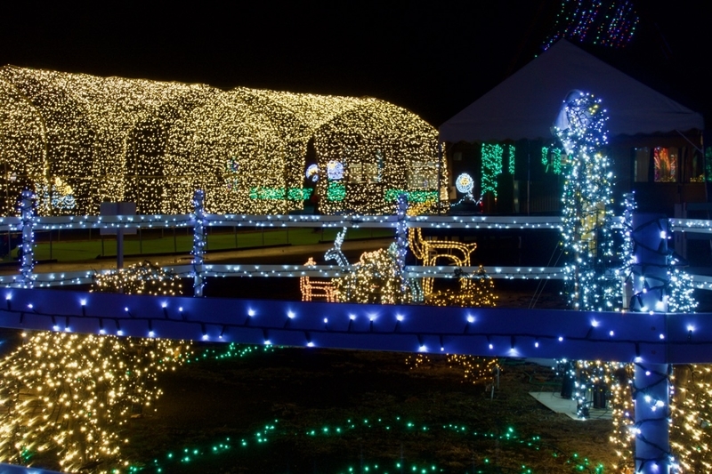 f:id:gizagizafitzroy:20181207112034j:plain