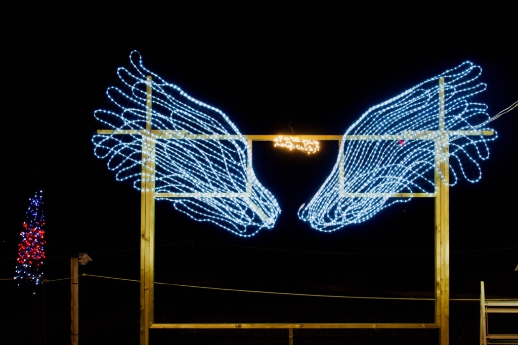 f:id:gizagizafitzroy:20181207114040j:plain