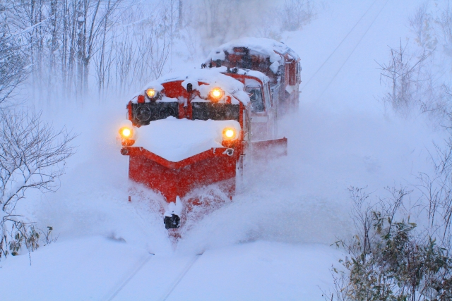 f:id:gizagizafitzroy:20190126153006j:plain