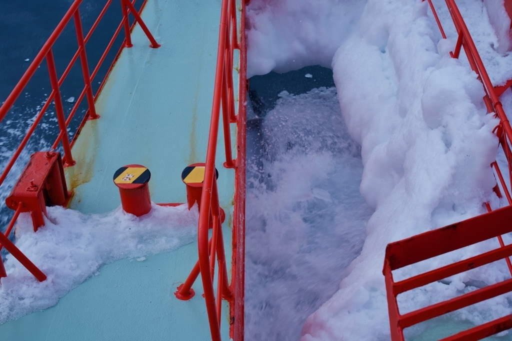 f:id:gizagizafitzroy:20190227022255j:plain