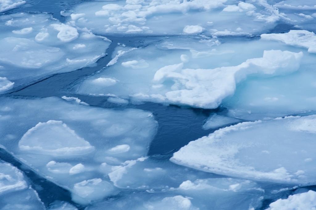 f:id:gizagizafitzroy:20190227022347j:plain