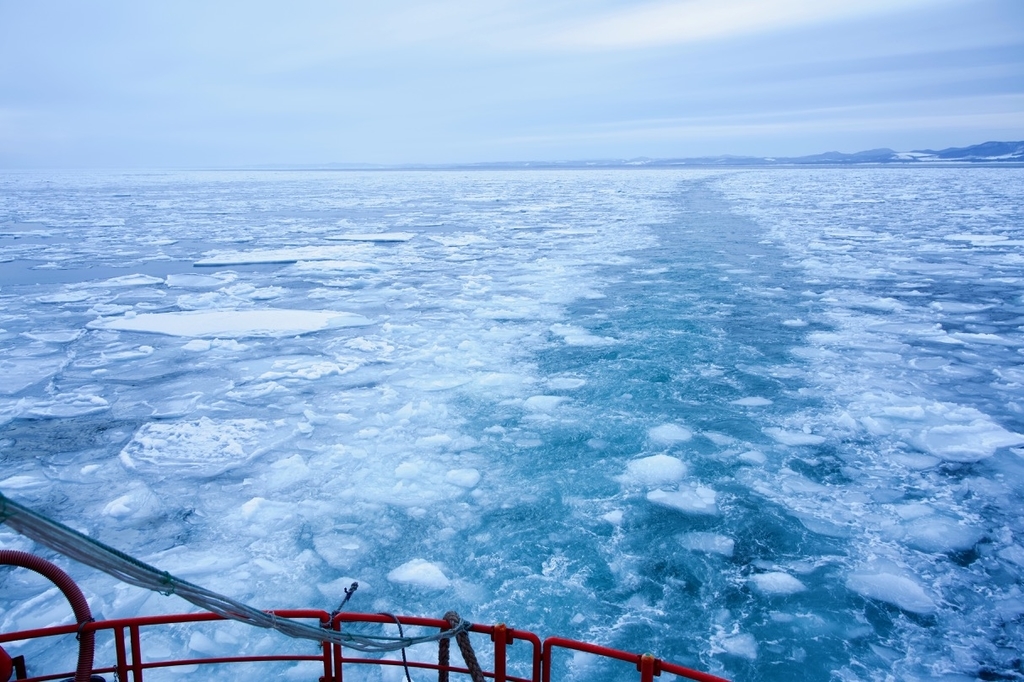 f:id:gizagizafitzroy:20190227022630j:plain