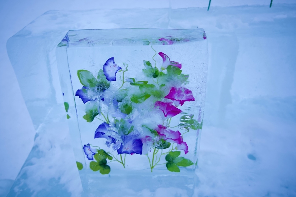 f:id:gizagizafitzroy:20190228015835j:plain