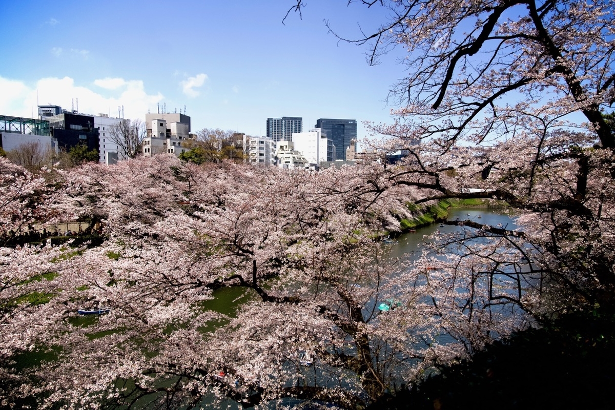 f:id:gizagizafitzroy:20190408012706j:plain f:id:gizagizafitzroy:20190408012706j:plain