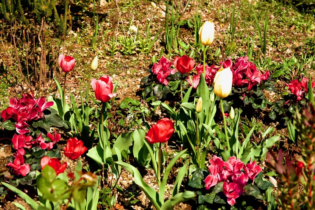 f:id:gizagizafitzroy:20190408013206j:plain f:id:gizagizafitzroy:20190408013206j:plain