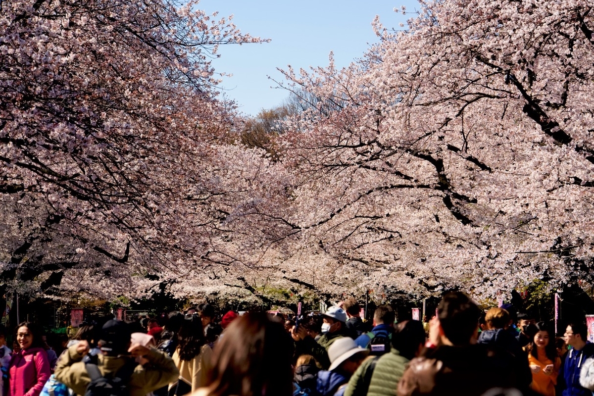 f:id:gizagizafitzroy:20190414121122j:plain