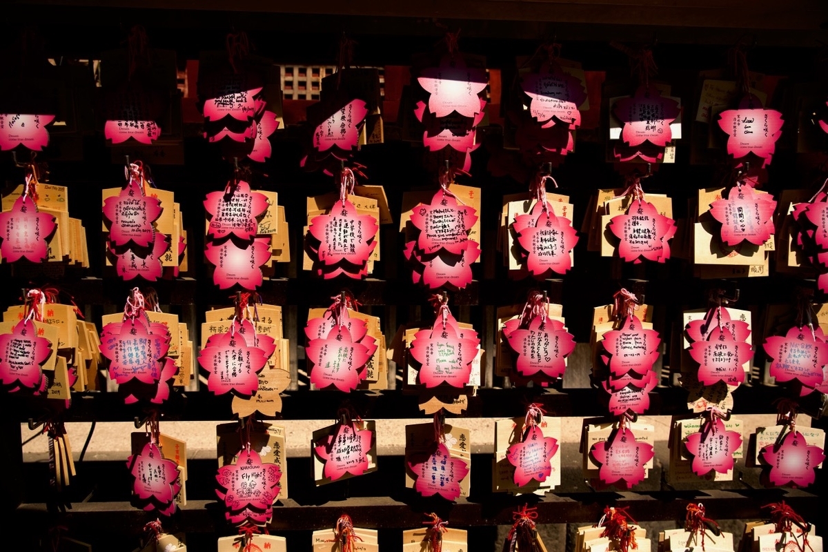 f:id:gizagizafitzroy:20190414121301j:plain