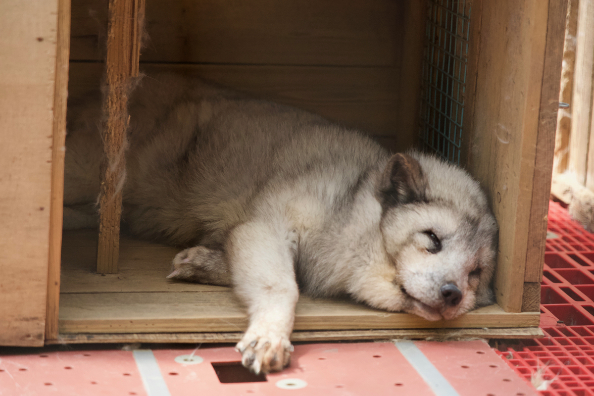 f:id:gizagizafitzroy:20190511025257j:plain