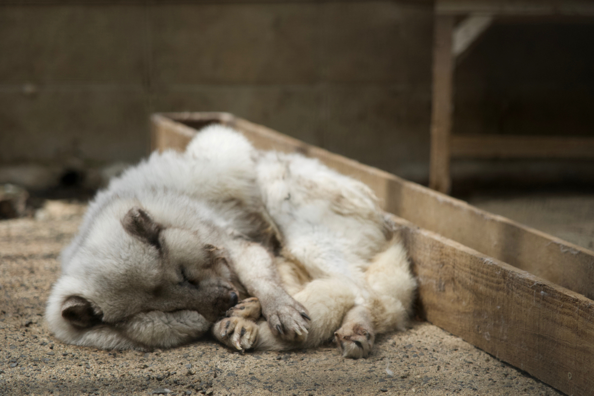 f:id:gizagizafitzroy:20190511025310j:plain