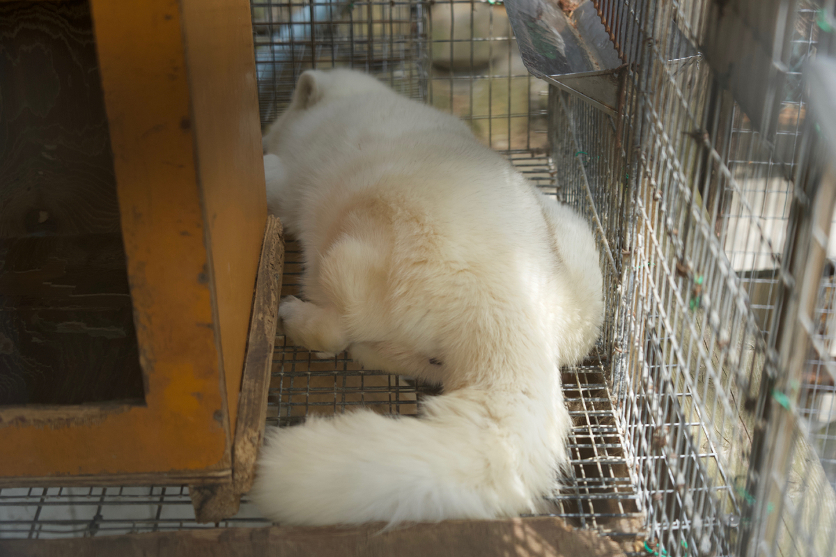 f:id:gizagizafitzroy:20190511025411j:plain