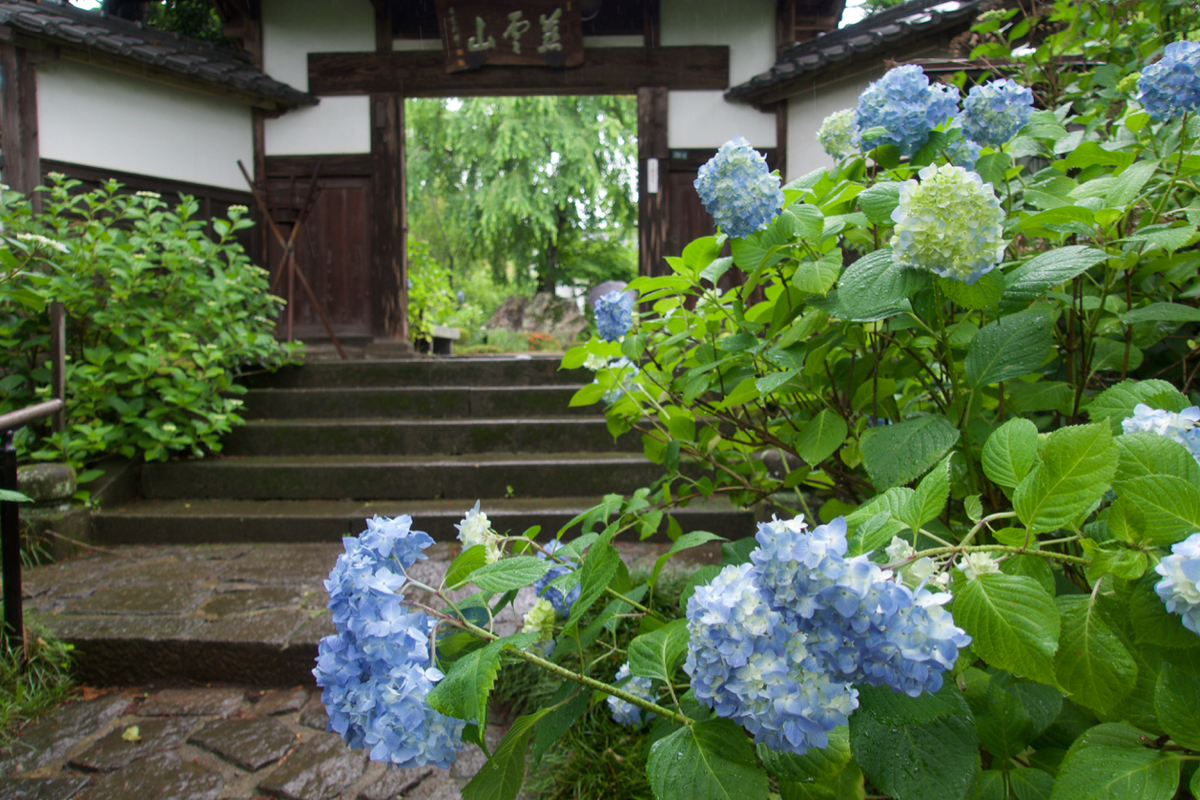 f:id:gizagizafitzroy:20190526152218j:plain