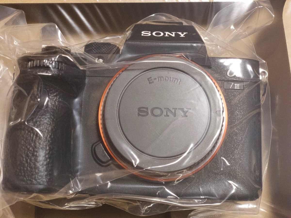 f:id:gizagizafitzroy:20190827121009j:plain