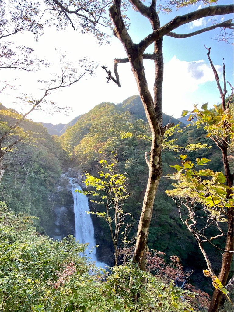 f:id:gizagizafitzroy:20191112005057j:image