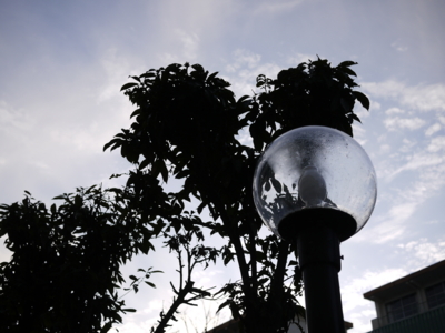 f:id:gizaju:20100207223926j:image f:id:gizaju:20100207223926j:image