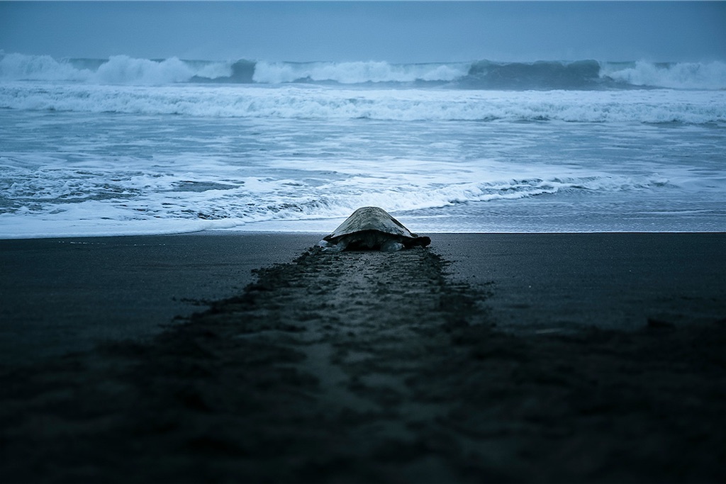 f:id:gizmooooo:20260120121643j:image