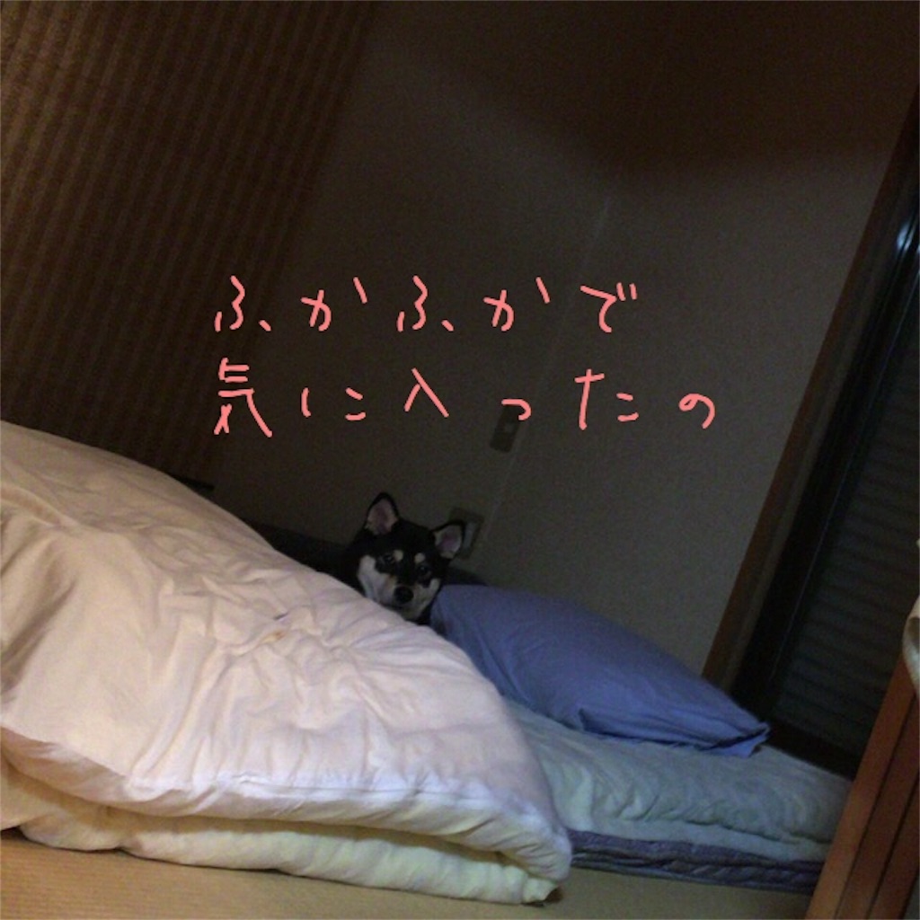 f:id:gizumiik:20161128222517j:image f:id:gizumiik:20161128222517j:image