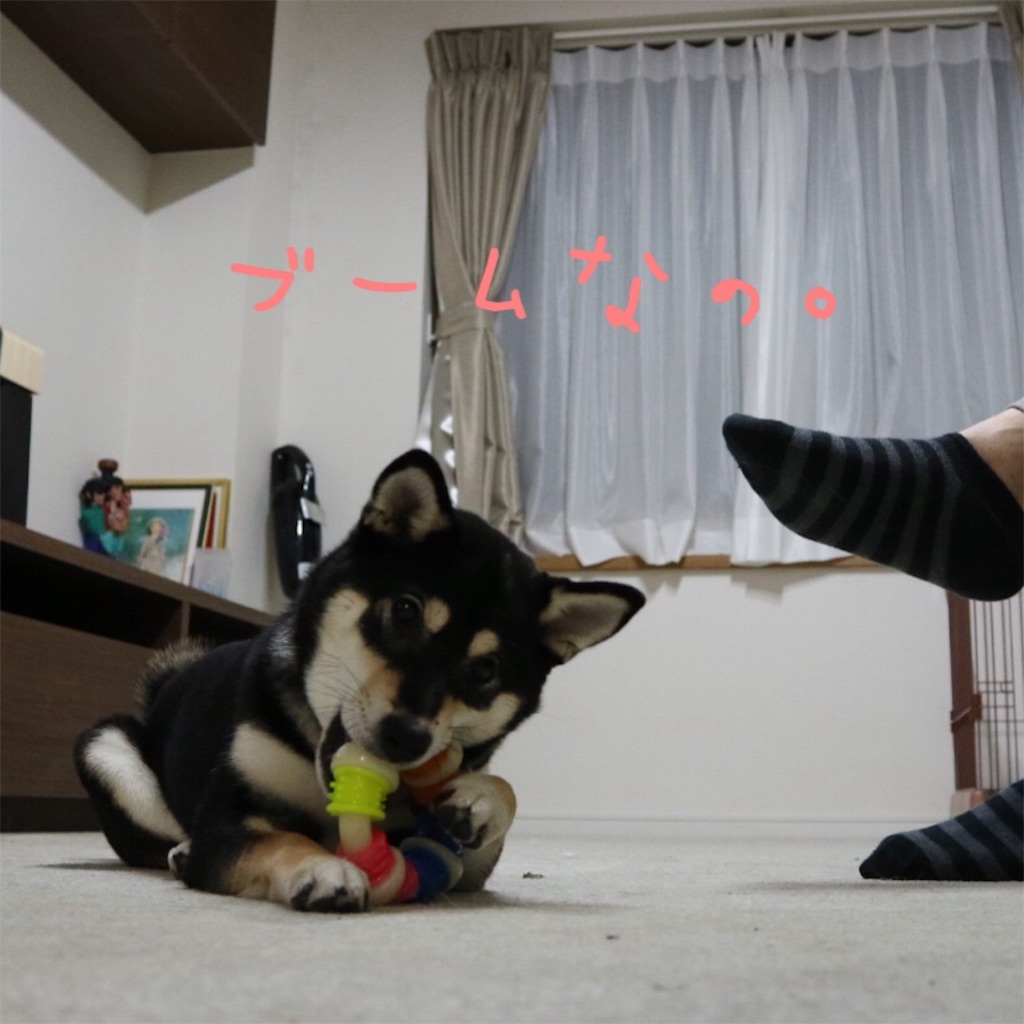 f:id:gizumiik:20161205230419j:image f:id:gizumiik:20161205230419j:image