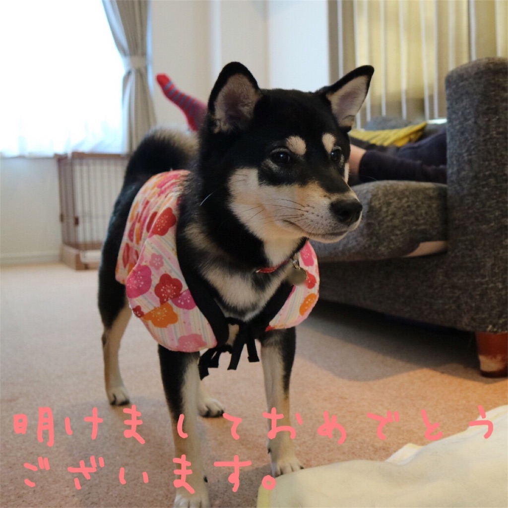 f:id:gizumiik:20170101151705j:image f:id:gizumiik:20170101151705j:image