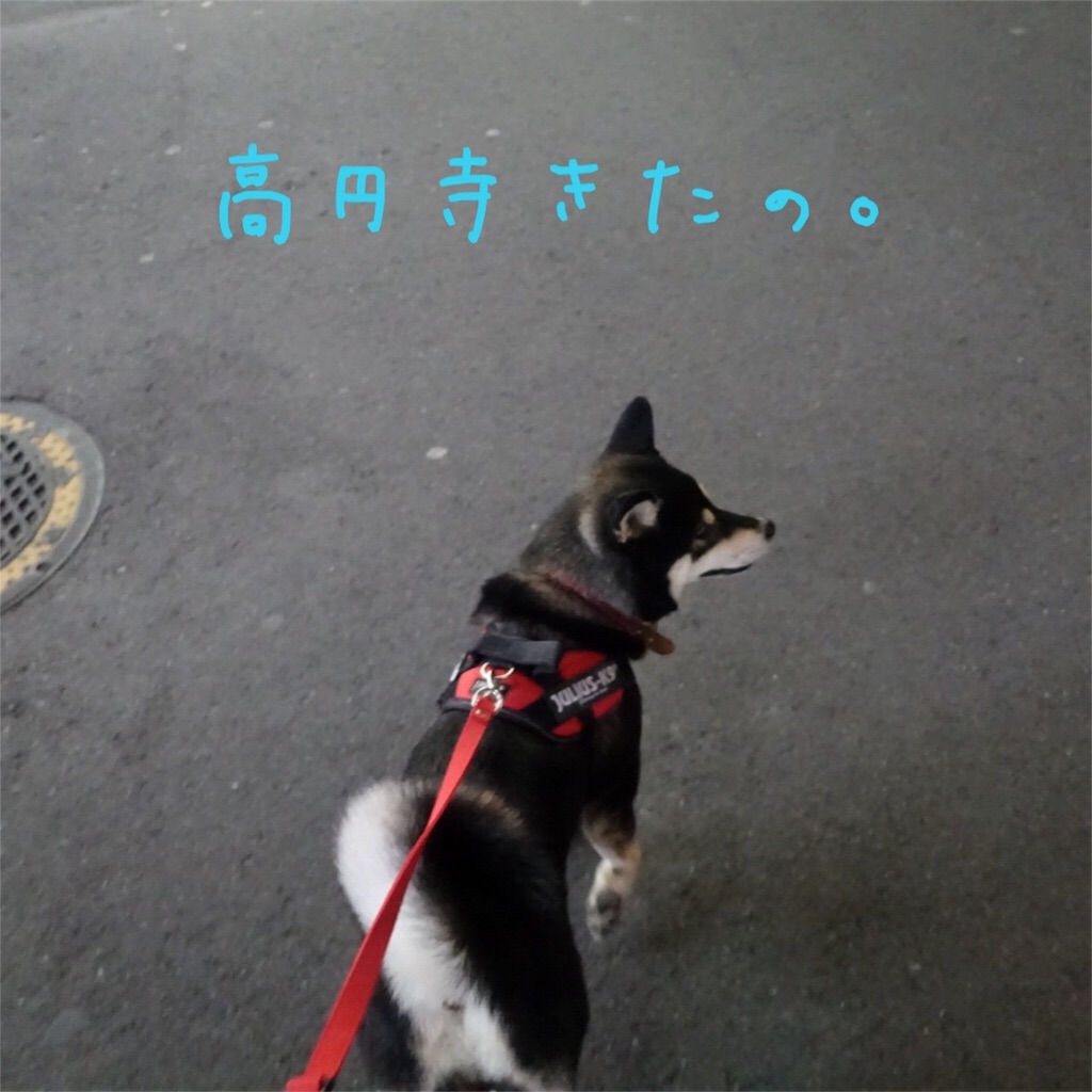 f:id:gizumiik:20170213195610j:image f:id:gizumiik:20170213195610j:image