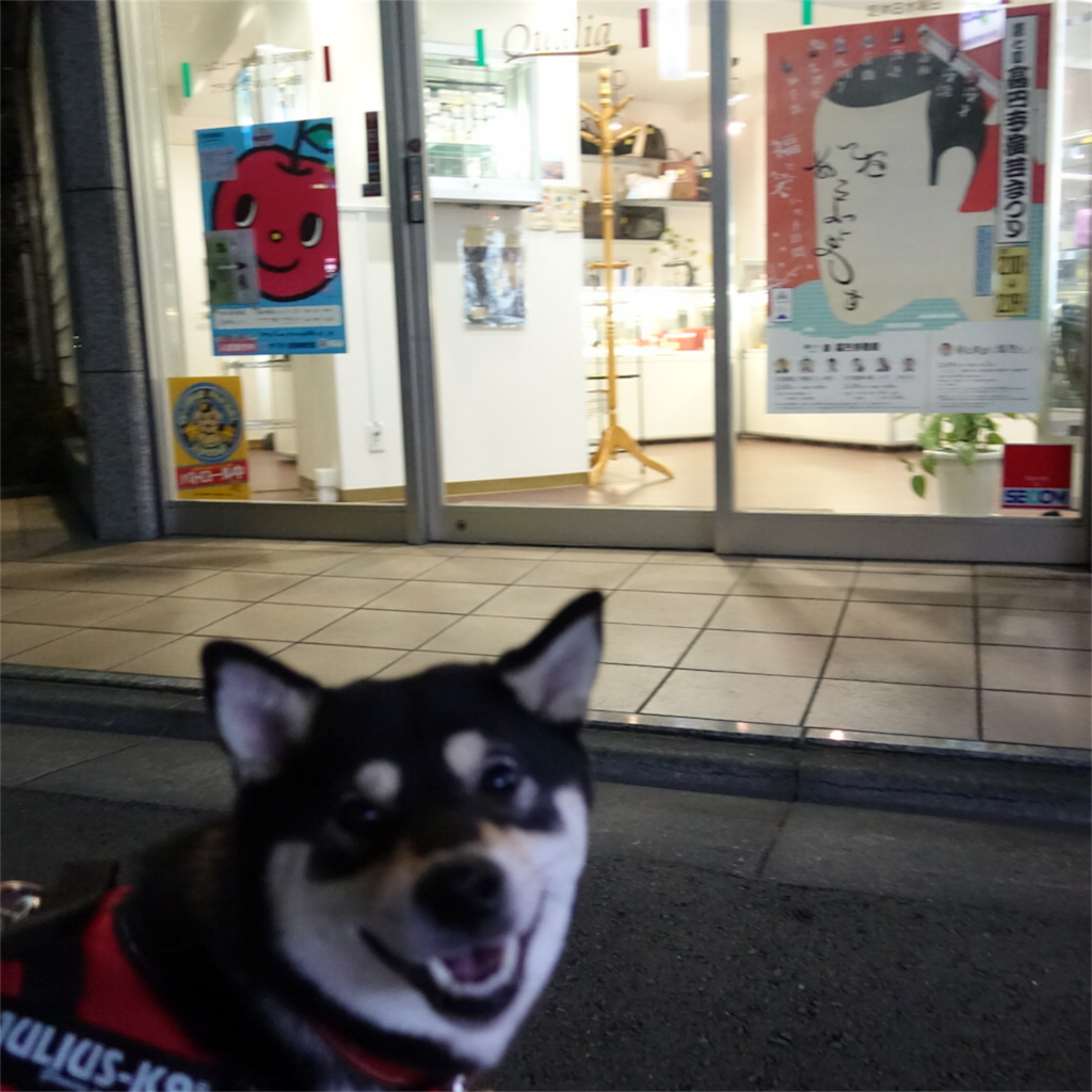 f:id:gizumiik:20170213195643p:image f:id:gizumiik:20170213195643p:image