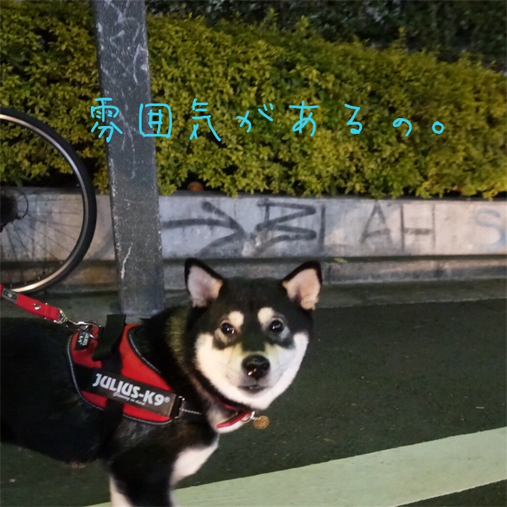 f:id:gizumiik:20170213195725j:image f:id:gizumiik:20170213195725j:image