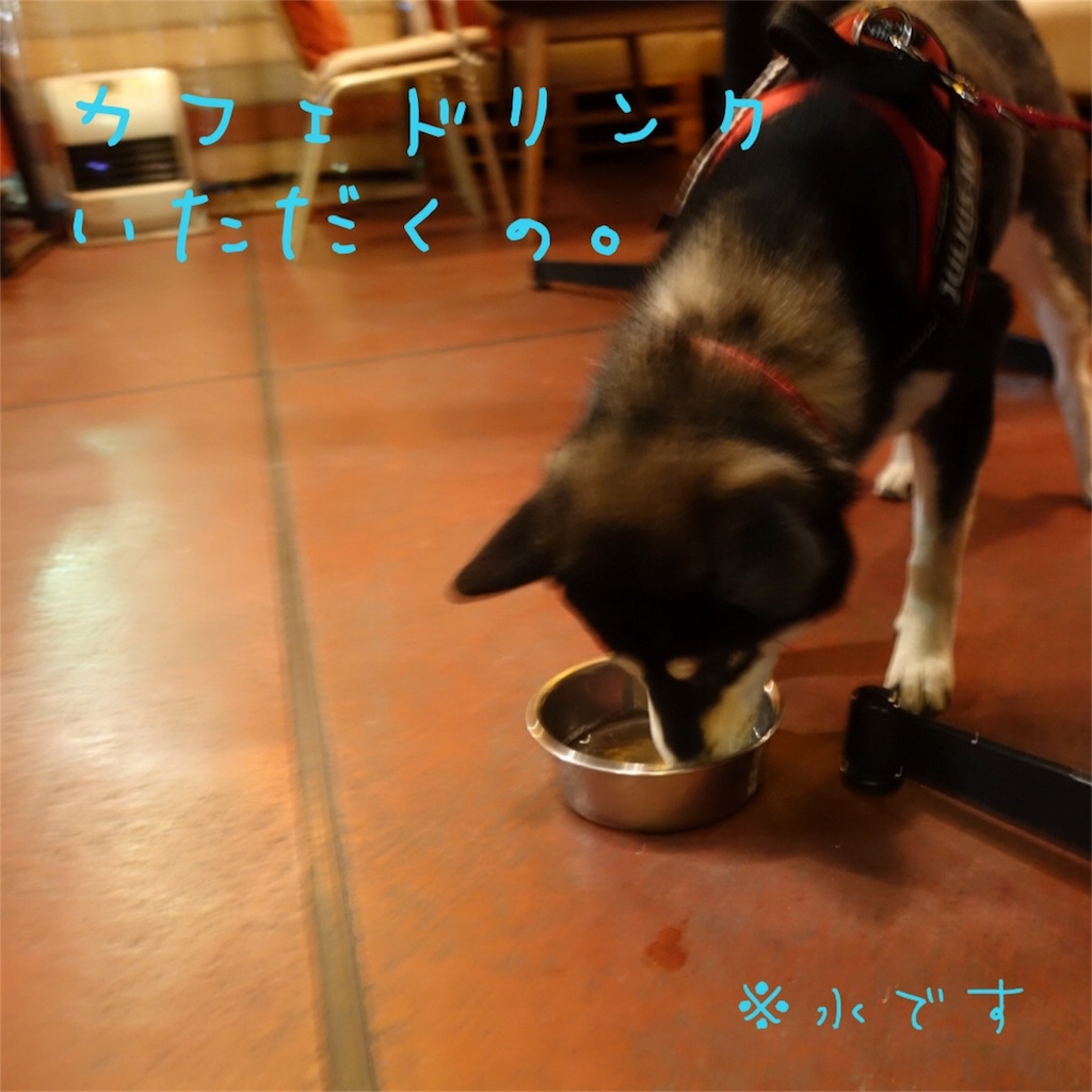 f:id:gizumiik:20170213195907j:image f:id:gizumiik:20170213195907j:image