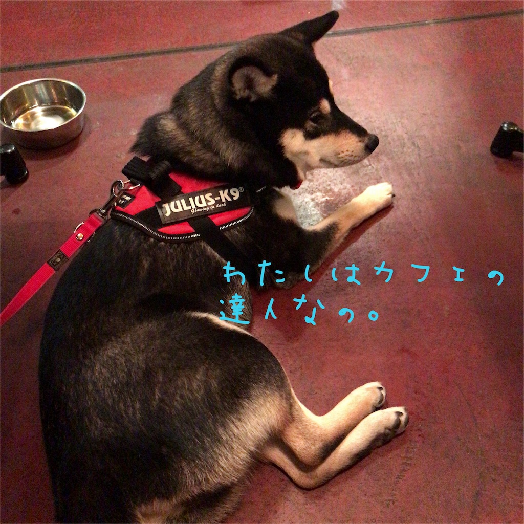 f:id:gizumiik:20170213200623j:image f:id:gizumiik:20170213200623j:image