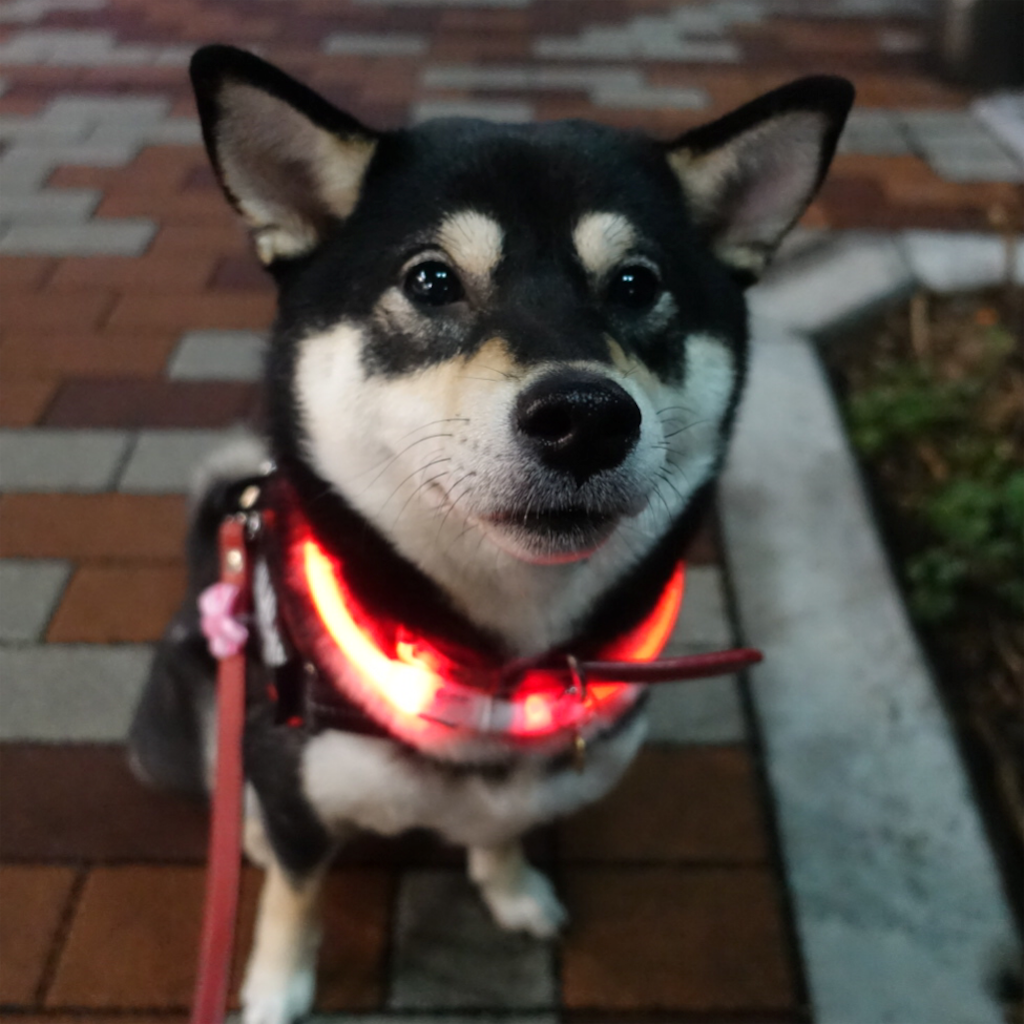 f:id:gizumiik:20170306223528p:image f:id:gizumiik:20170306223528p:image