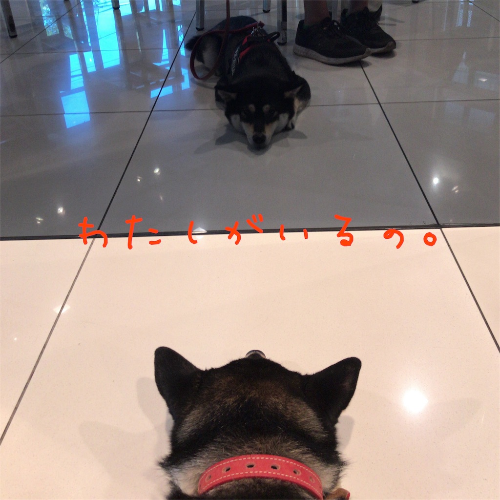f:id:gizumiik:20170428235228j:image f:id:gizumiik:20170428235228j:image