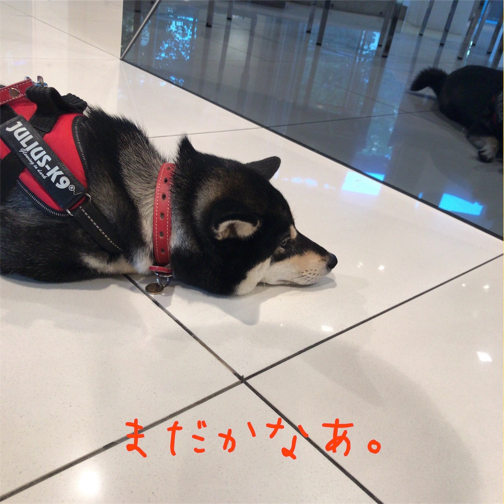 f:id:gizumiik:20170428235331j:image f:id:gizumiik:20170428235331j:image