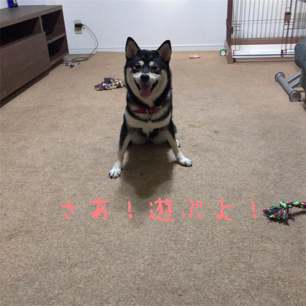 f:id:gizumiik:20170508215054j:image f:id:gizumiik:20170508215054j:image