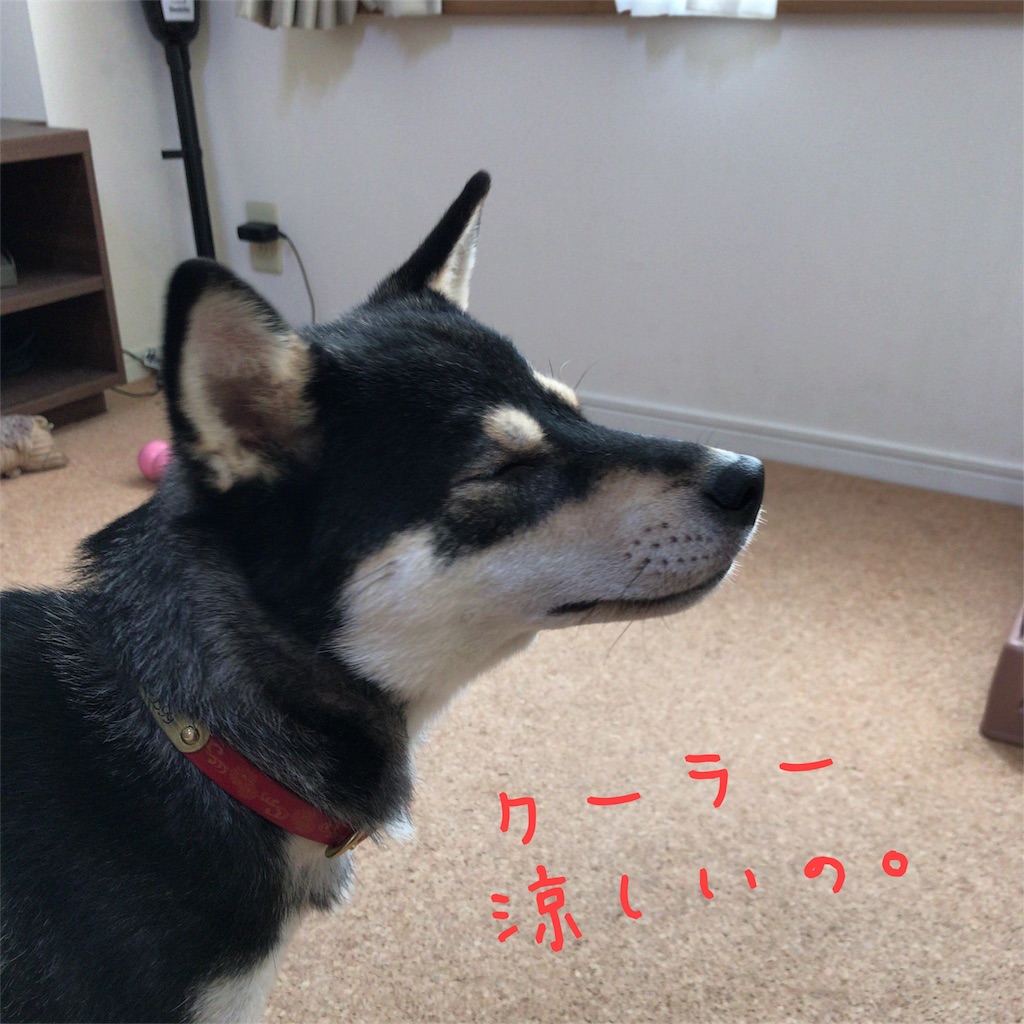 f:id:gizumiik:20170616164634j:image f:id:gizumiik:20170616164634j:image