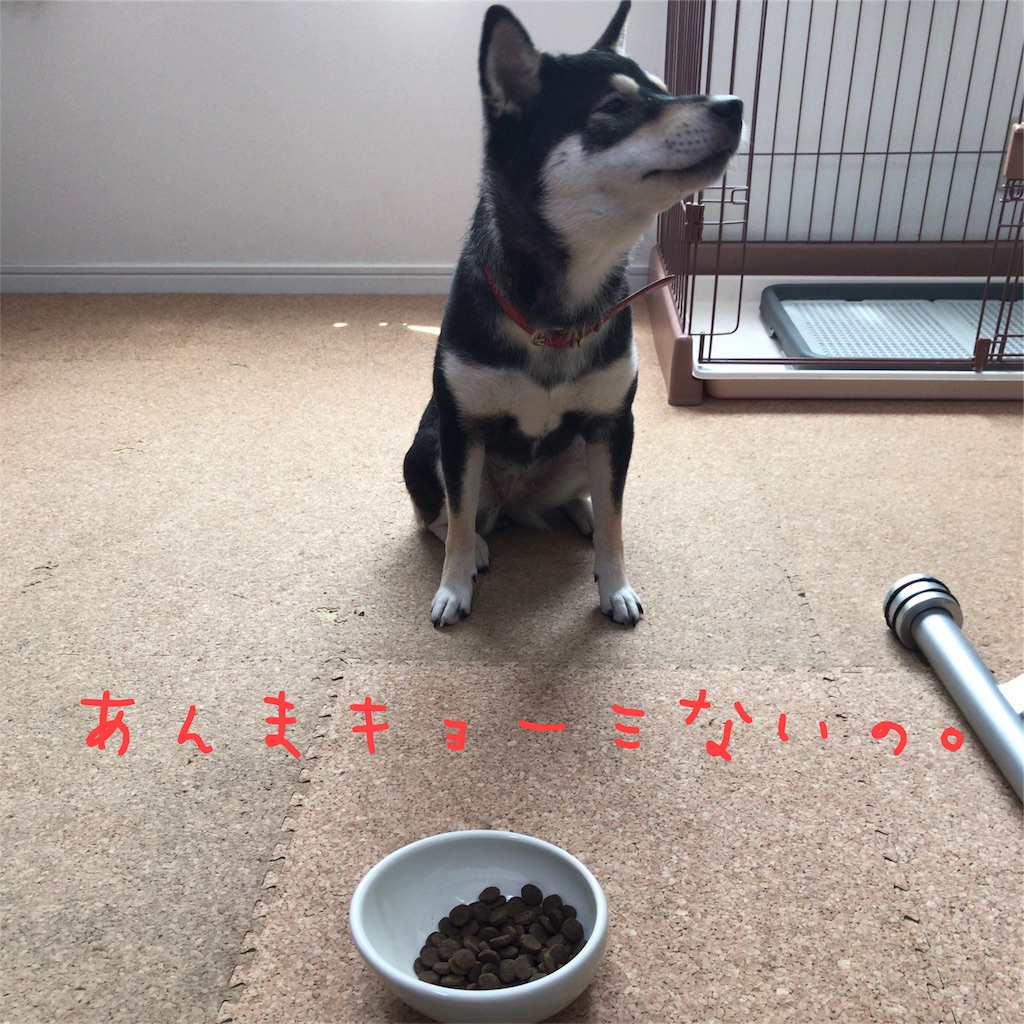f:id:gizumiik:20170616164728j:image f:id:gizumiik:20170616164728j:image
