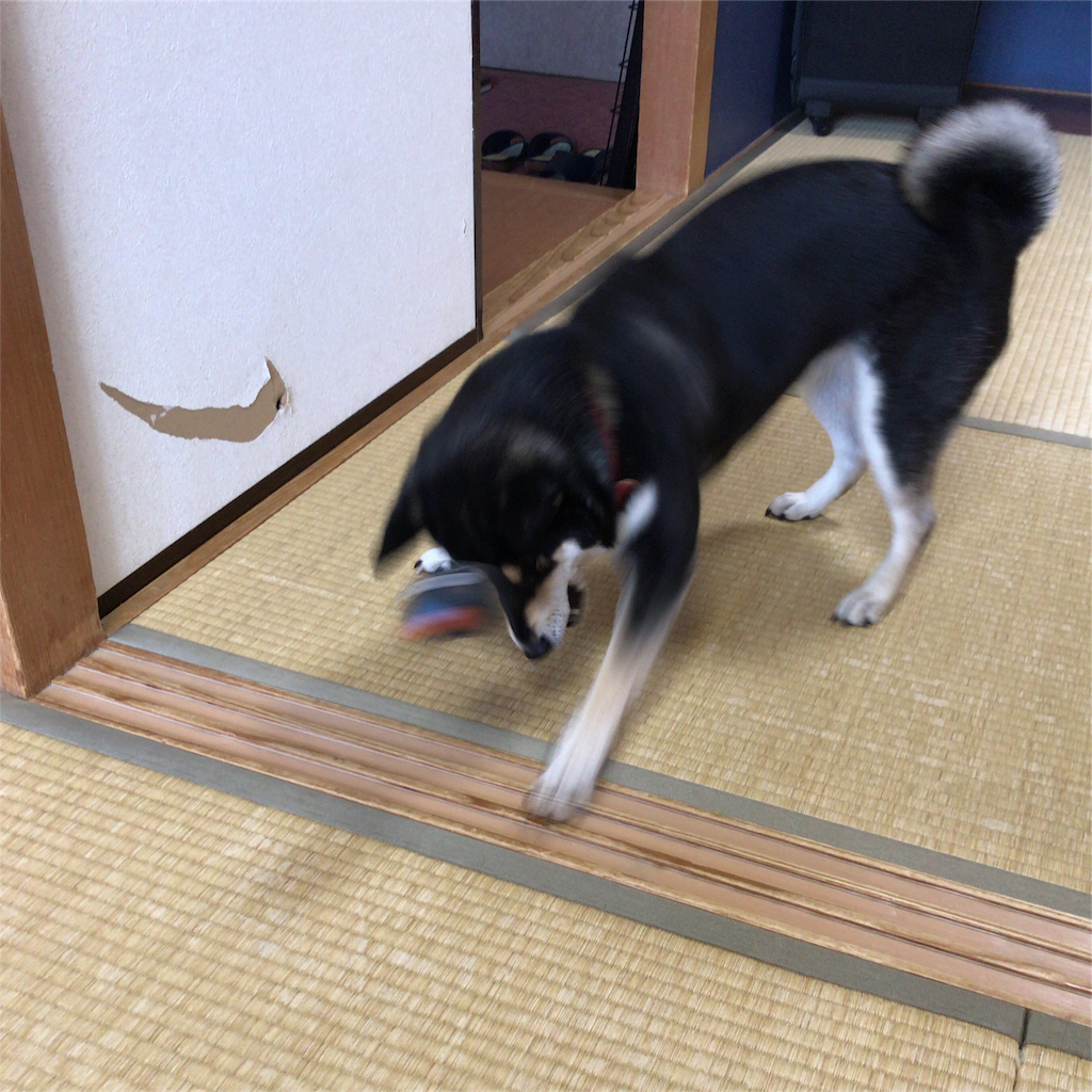 f:id:gizumiik:20170716164204p:image f:id:gizumiik:20170716164204p:image