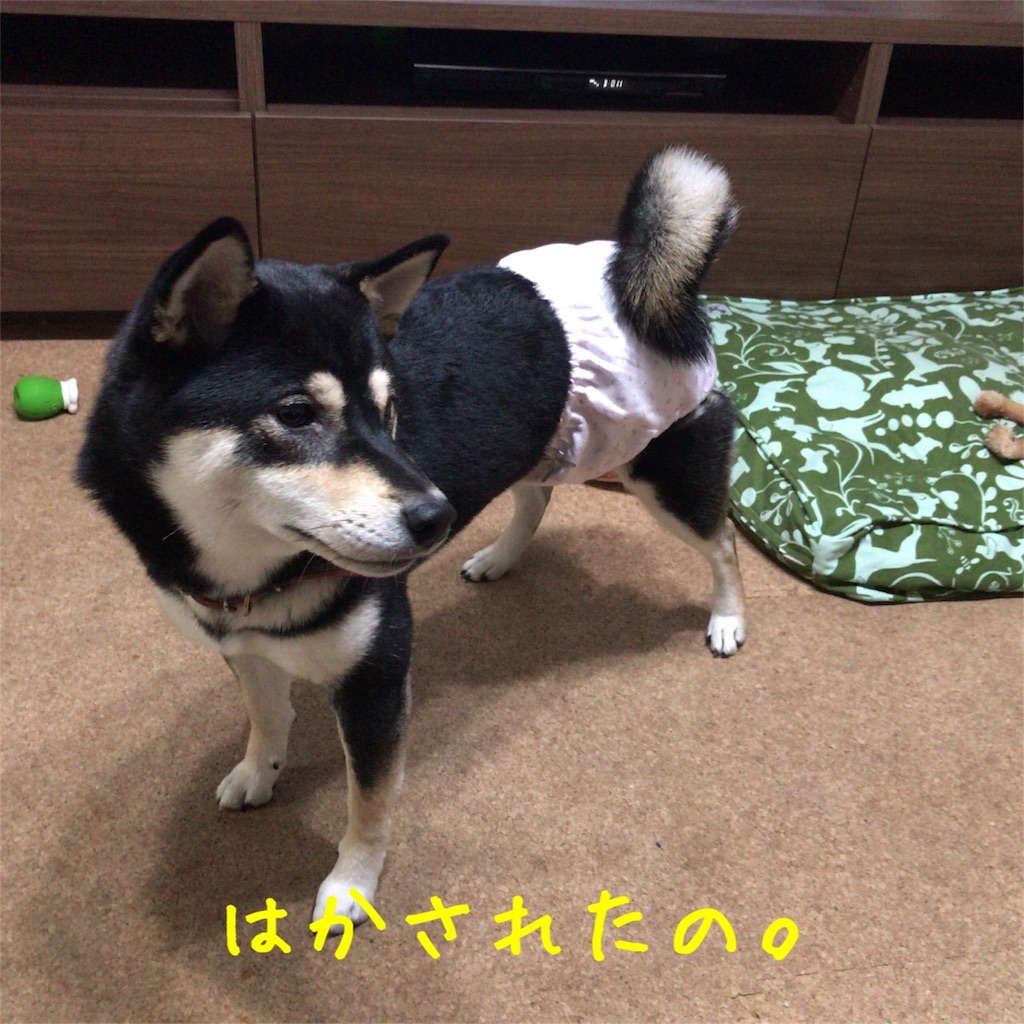 f:id:gizumiik:20170803235547j:image f:id:gizumiik:20170803235547j:image