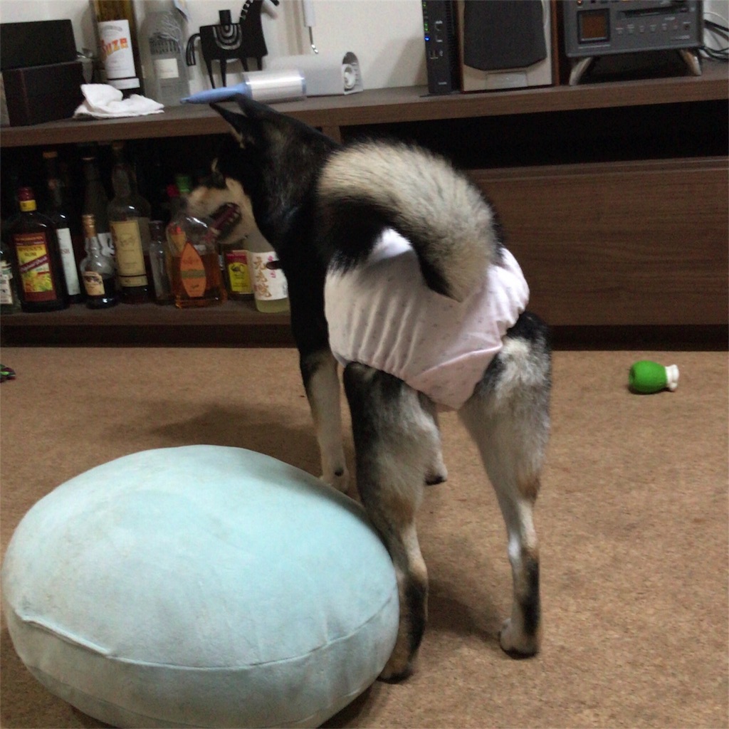 f:id:gizumiik:20170803235614j:image f:id:gizumiik:20170803235614j:image