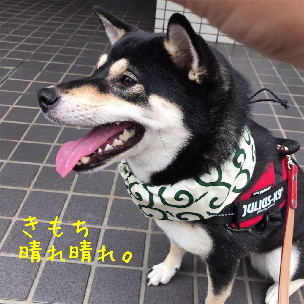 f:id:gizumiik:20170810163548j:image f:id:gizumiik:20170810163548j:image