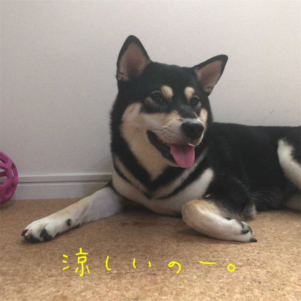 f:id:gizumiik:20170901231549j:image f:id:gizumiik:20170901231549j:image