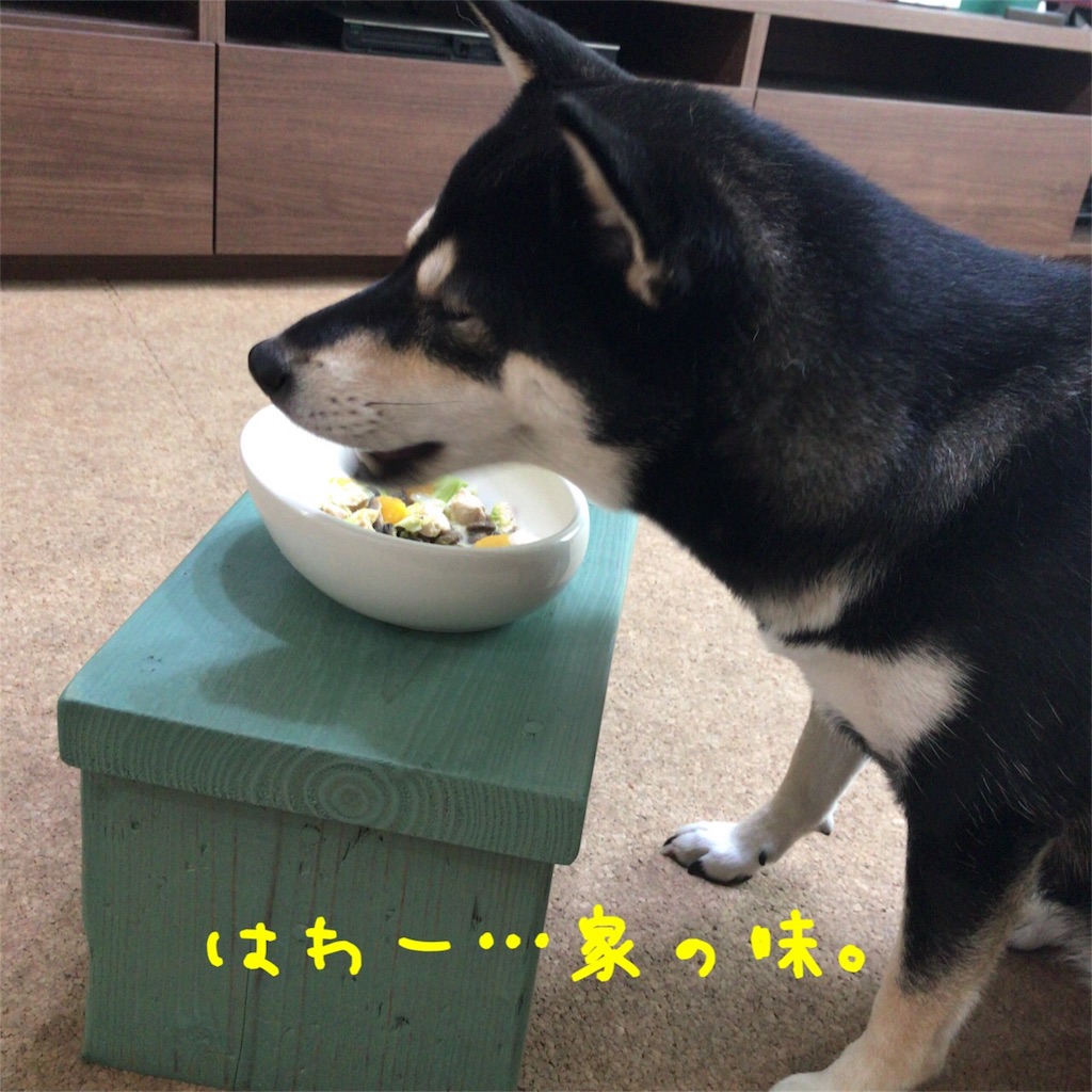 f:id:gizumiik:20171207000832j:image f:id:gizumiik:20171207000832j:image