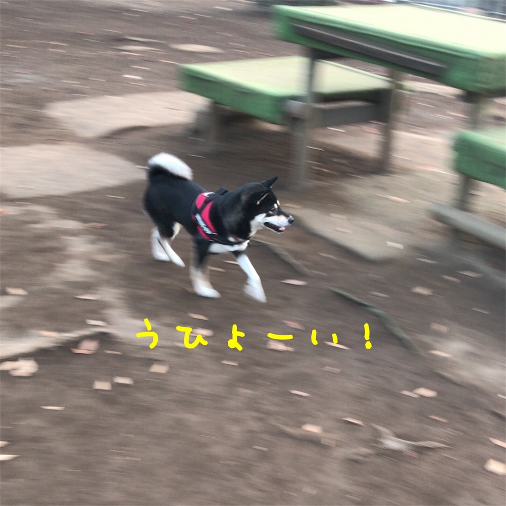 f:id:gizumiik:20171207000852j:image f:id:gizumiik:20171207000852j:image