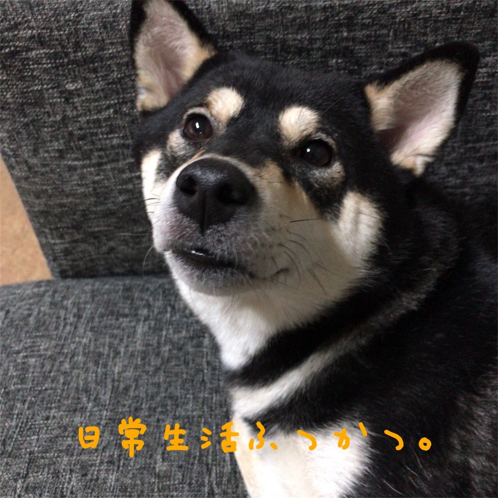 f:id:gizumiik:20171207000906j:image f:id:gizumiik:20171207000906j:image