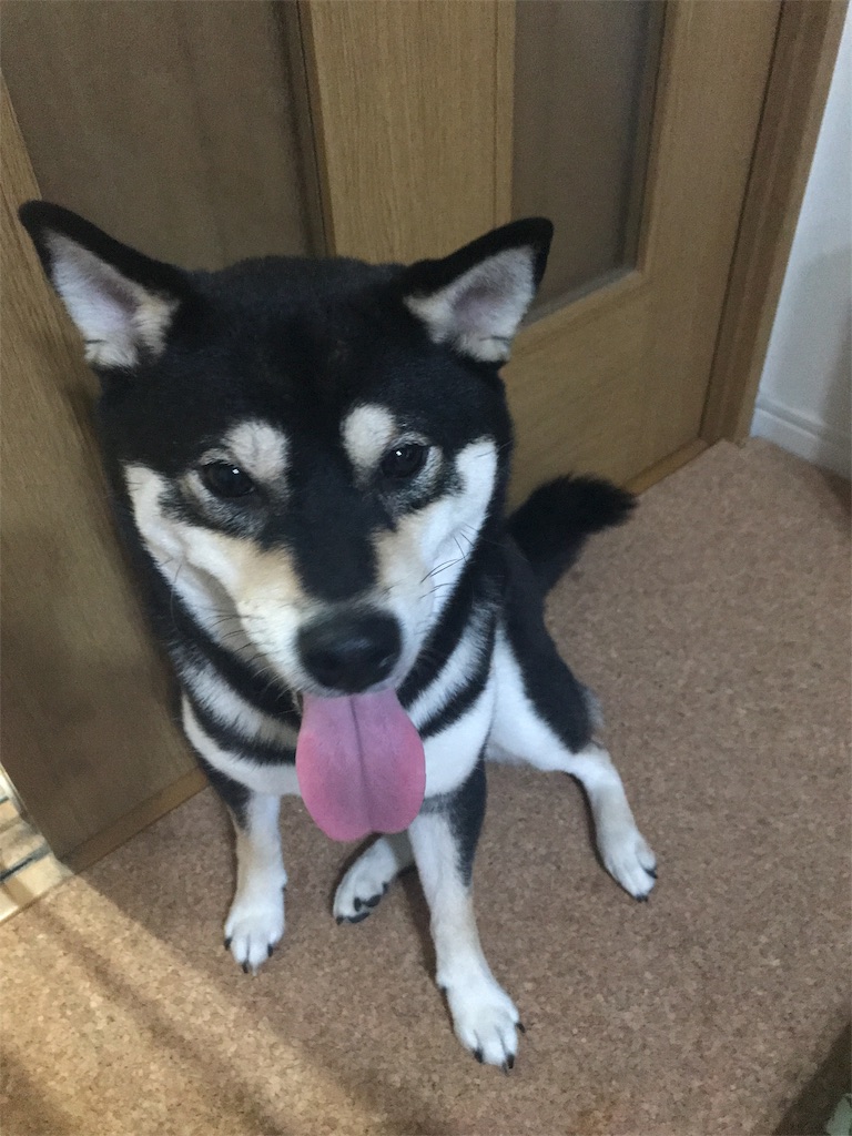f:id:gizumiik:20180507022655j:image f:id:gizumiik:20180507022655j:image