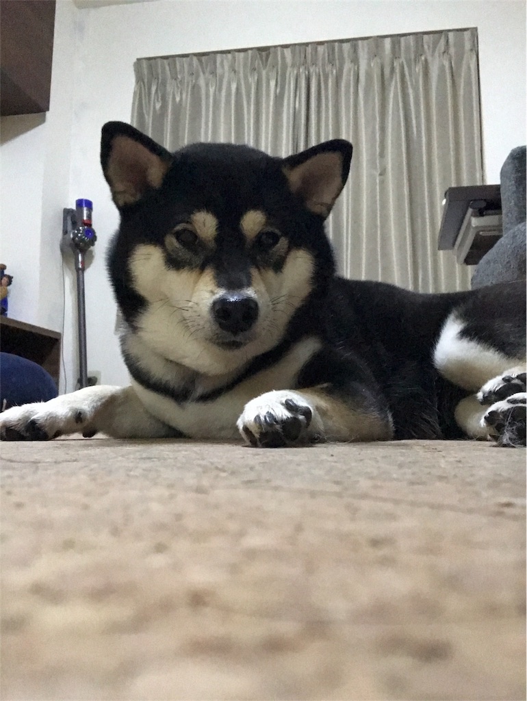 f:id:gizumiik:20180507022848j:image f:id:gizumiik:20180507022848j:image