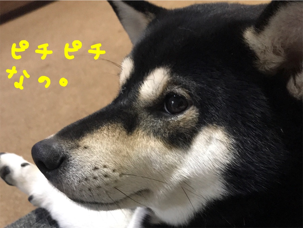 f:id:gizumiik:20181007174101j:image f:id:gizumiik:20181007174101j:image