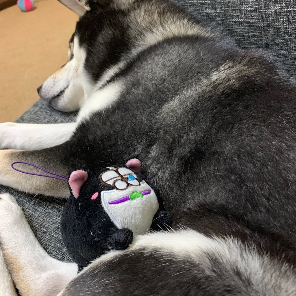 f:id:gizumiik:20190217223756j:image f:id:gizumiik:20190217223756j:image