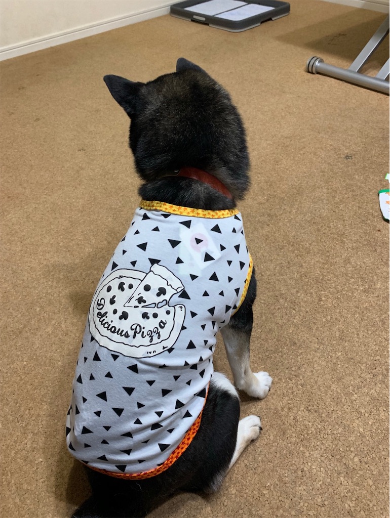 f:id:gizumiik:20190220193434j:image f:id:gizumiik:20190220193434j:image