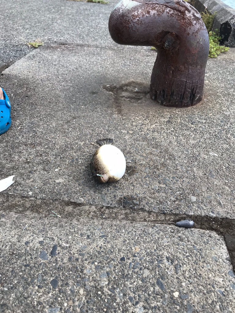 f:id:gjcc:20180822235701j:image