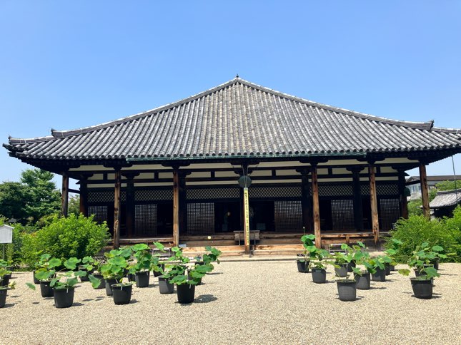 世界遺産・元興寺の見どころ7選!お寺で心を癒そう - 福祉と寺社とこころのブログ