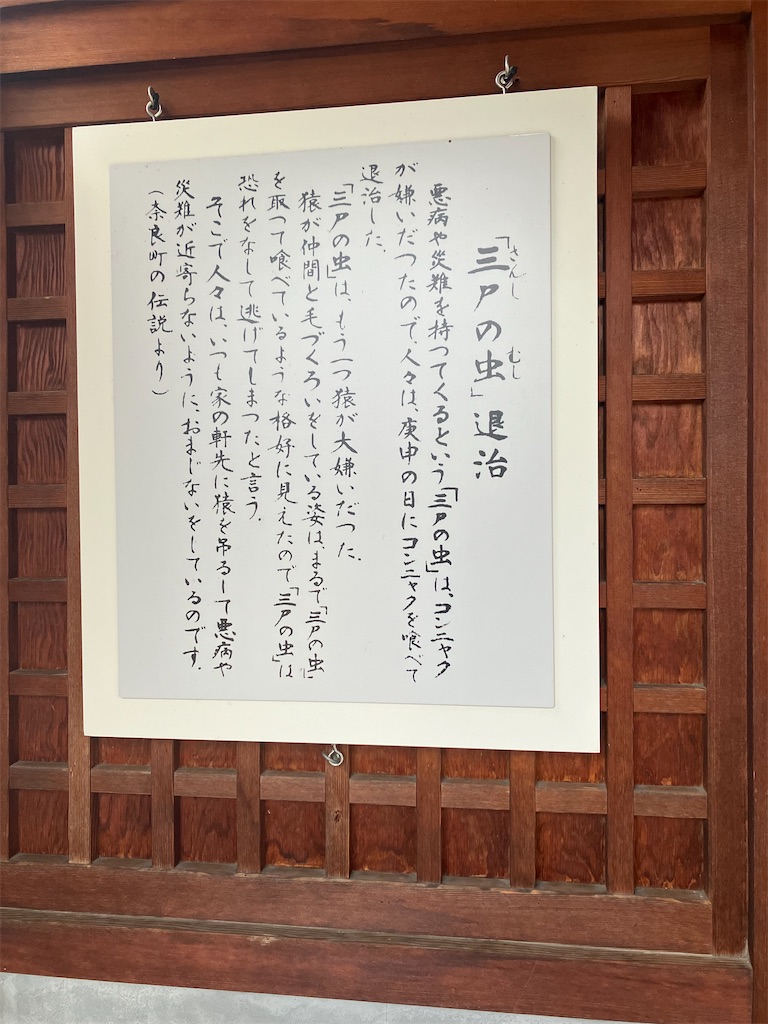 f:id:gjmd78:20241119100953j:image f:id:gjmd78:20241119100953j:image