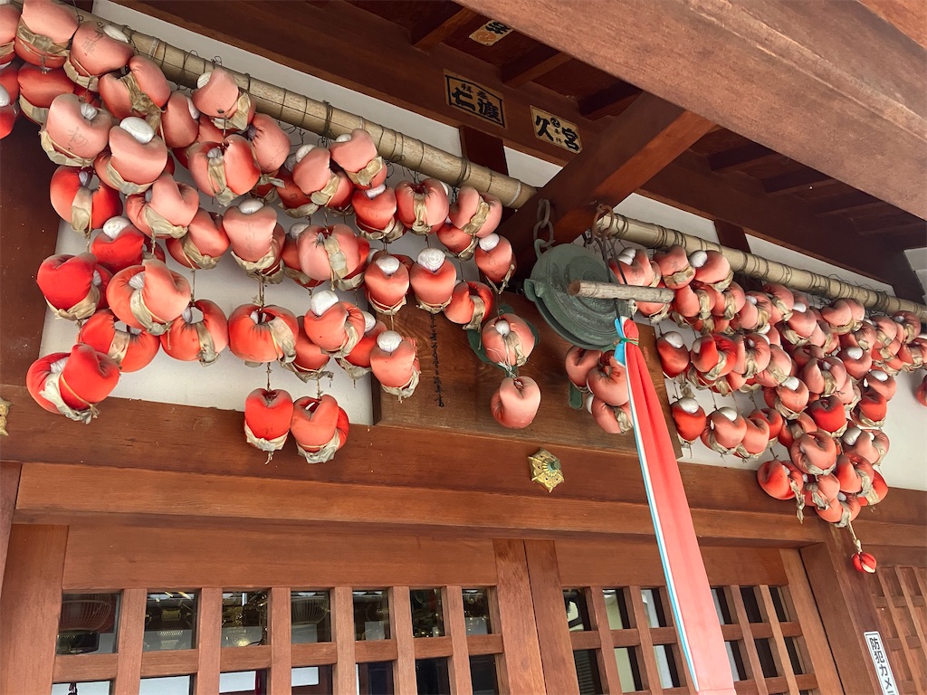 f:id:gjmd78:20241119101047j:image f:id:gjmd78:20241119101047j:image